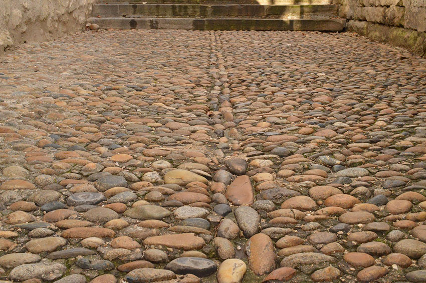 Avignon France Travel Services