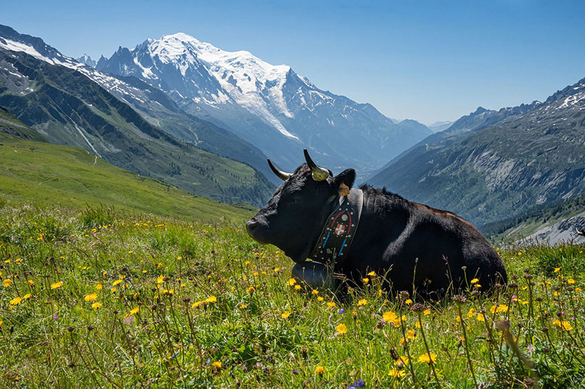 France Travel Services Chamonix
