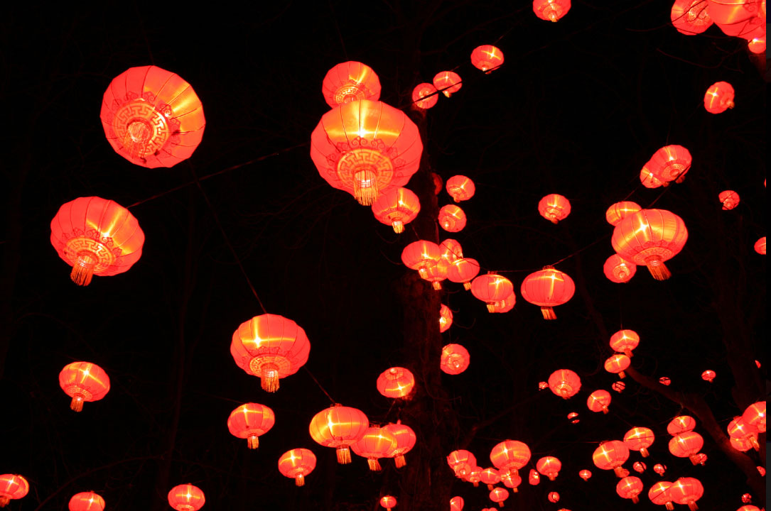 Lyon Festival of Lights
