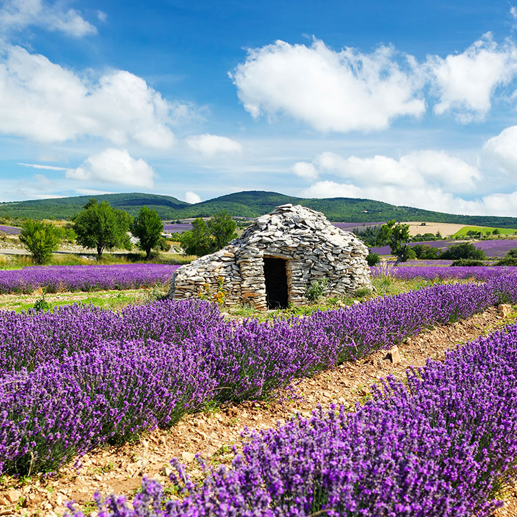 France Travel Services