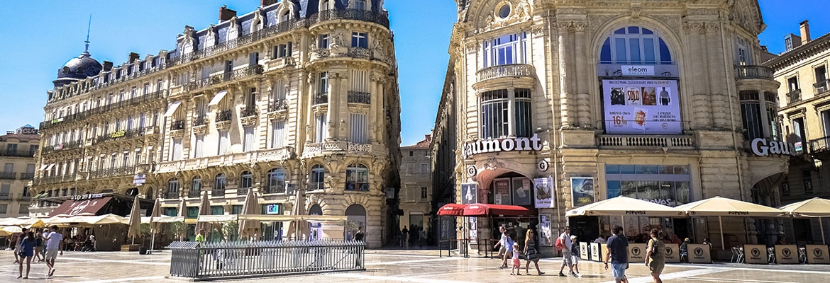 Montpelier France Travel Services