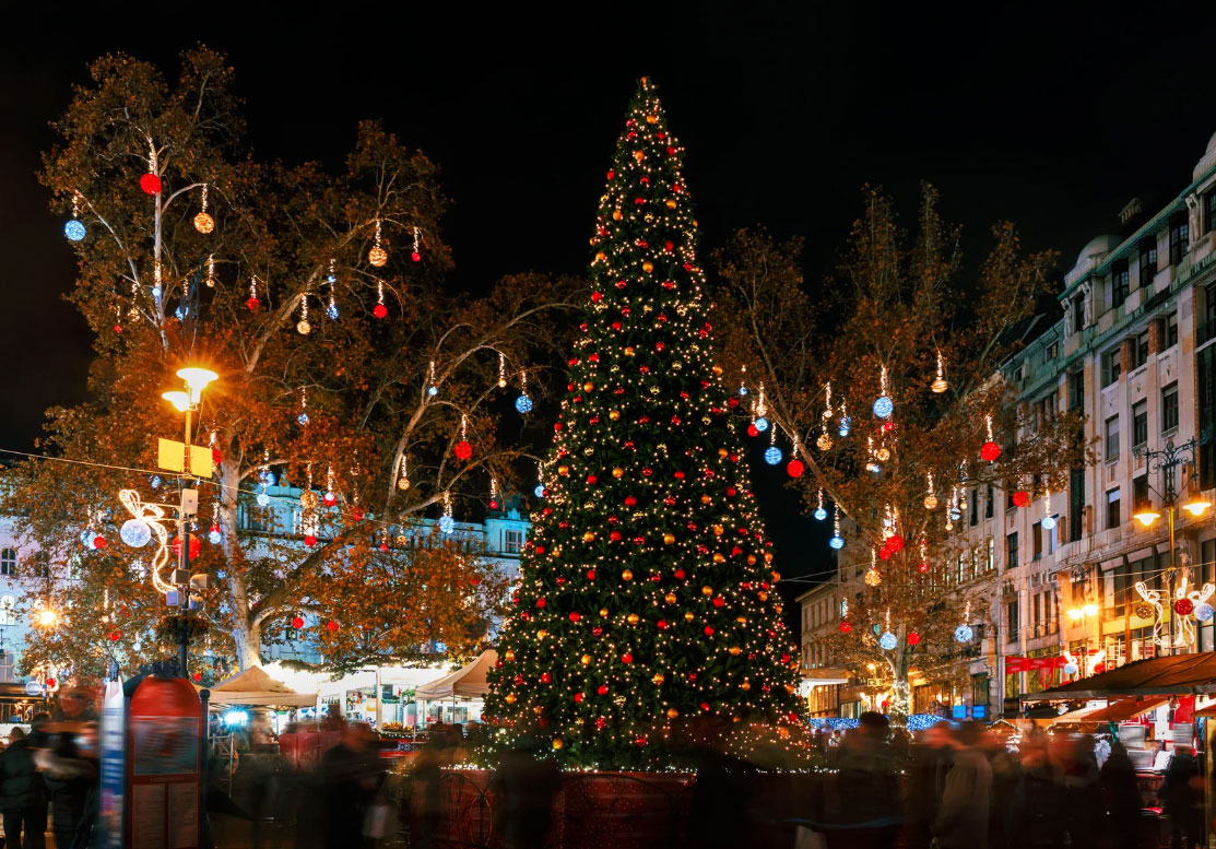 France Travel Services Christmas Market