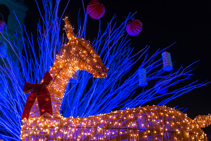 Lyon Festival of Lights